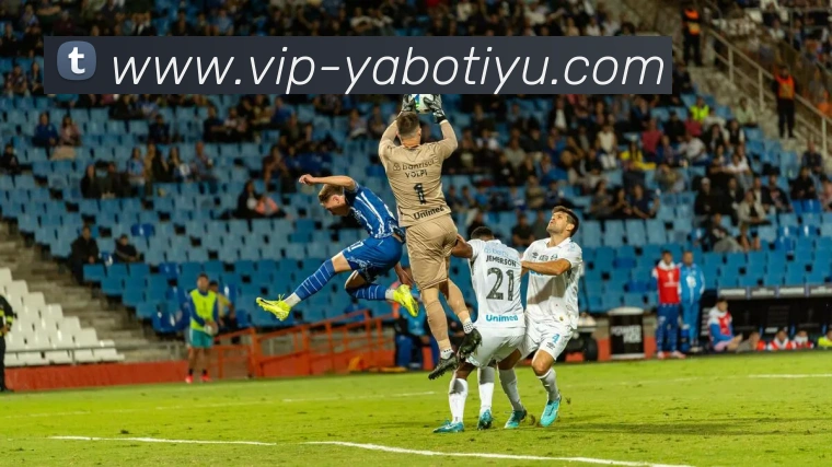 亚博体育APP 封面图