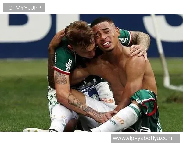 帕尔梅拉斯主席热情呼唤热苏斯归队期待重聚的美好时刻 帕尔梅拉斯主席热情呼唤热苏斯归队期待重聚的美好时刻